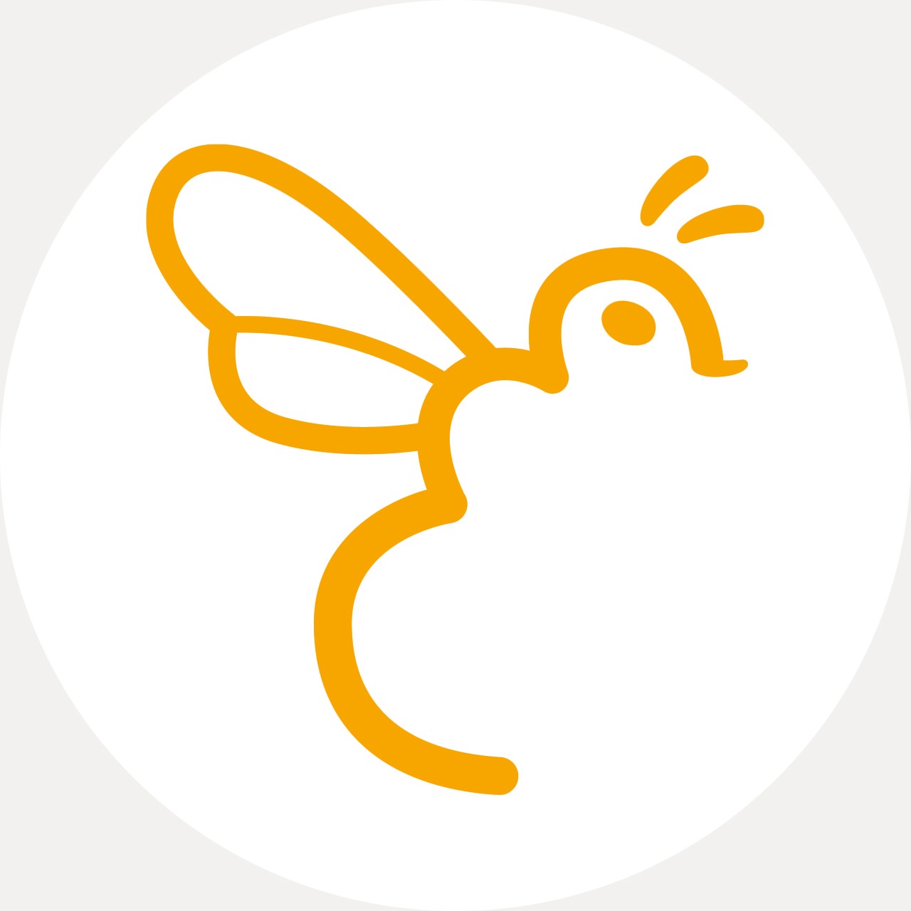 association pour la protection et la promotion de l'abeille noire, cap sizun, pays bigouden, abeille, apiculture, logo, charte graphique, identité visuelle